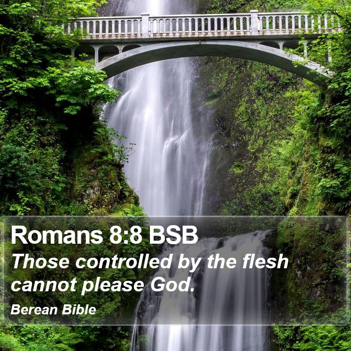 Romans 8:8 BSB Bible Study