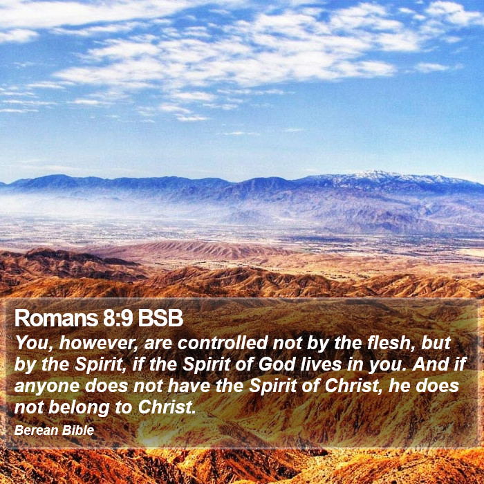 Romans 8:9 BSB Bible Study