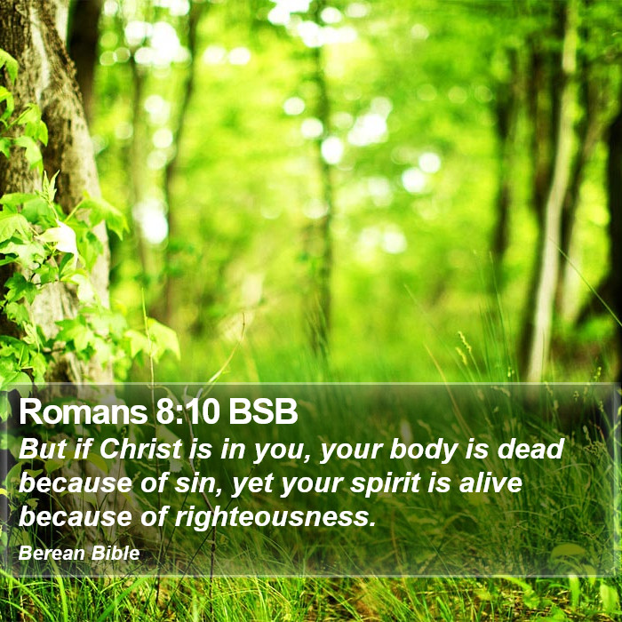 Romans 8:10 BSB Bible Study