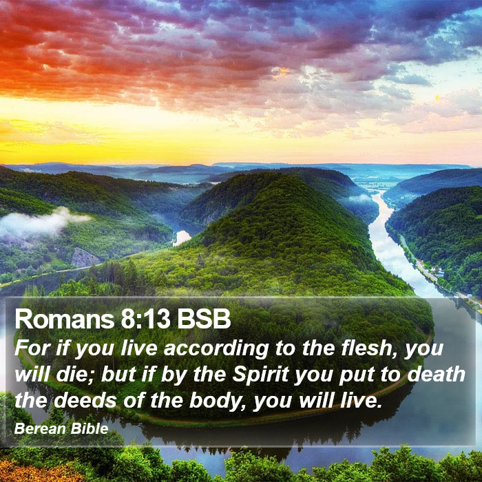 Romans 8:13 BSB Bible Study