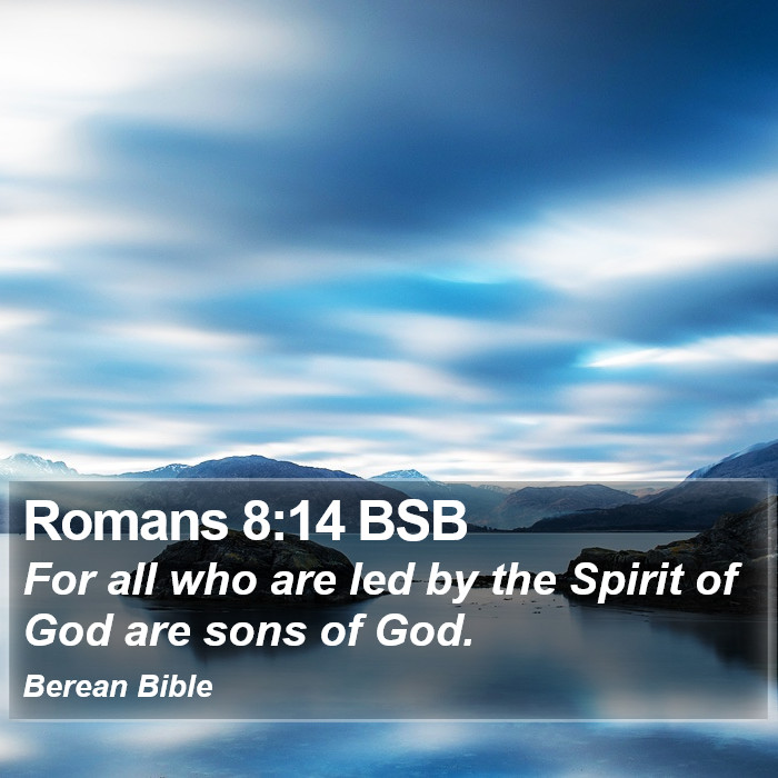 Romans 8:14 BSB Bible Study