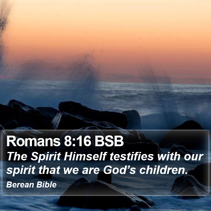 Romans 8:16 BSB Bible Study