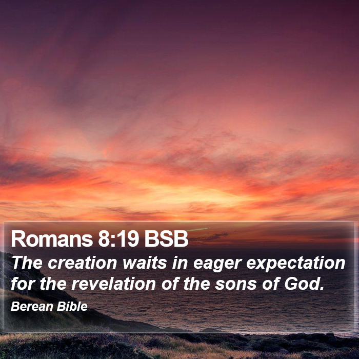 Romans 8:19 BSB Bible Study