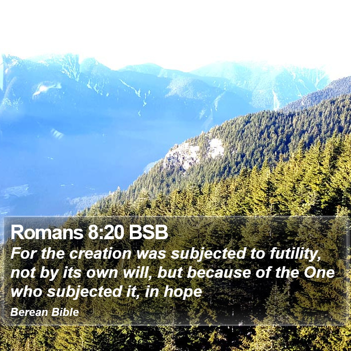 Romans 8:20 BSB Bible Study