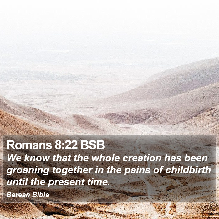 Romans 8:22 BSB Bible Study