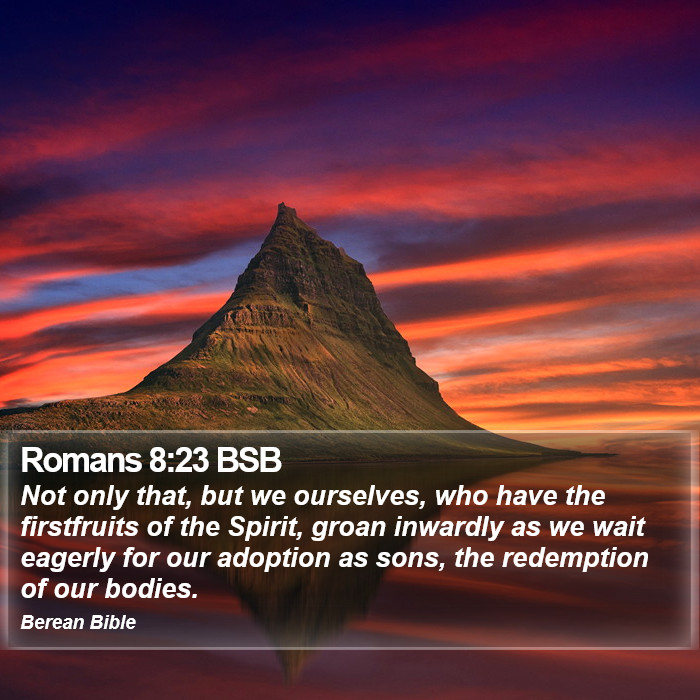 Romans 8:23 BSB Bible Study