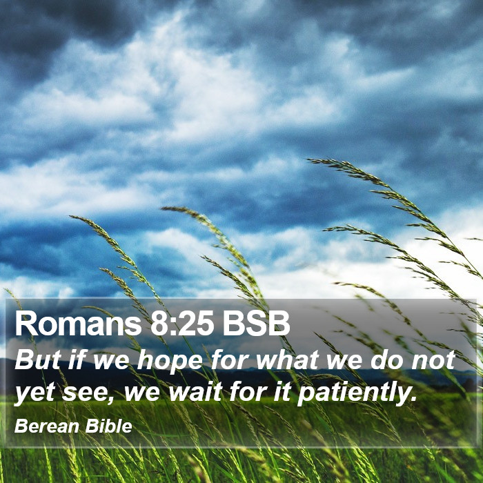 Romans 8:25 BSB Bible Study