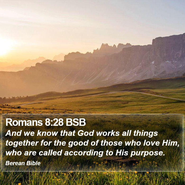 Romans 8:28 BSB Bible Study