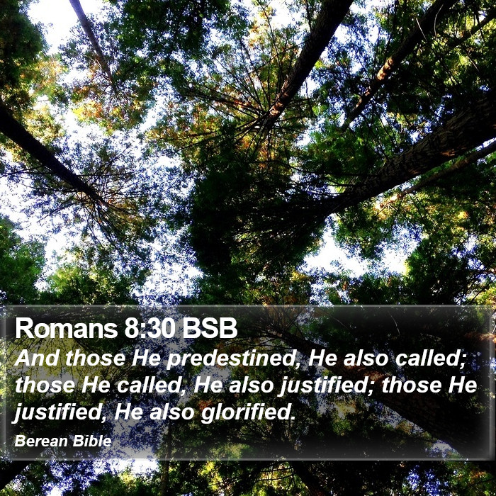 Romans 8:30 BSB Bible Study