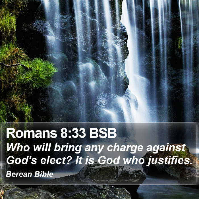 Romans 8:33 BSB Bible Study