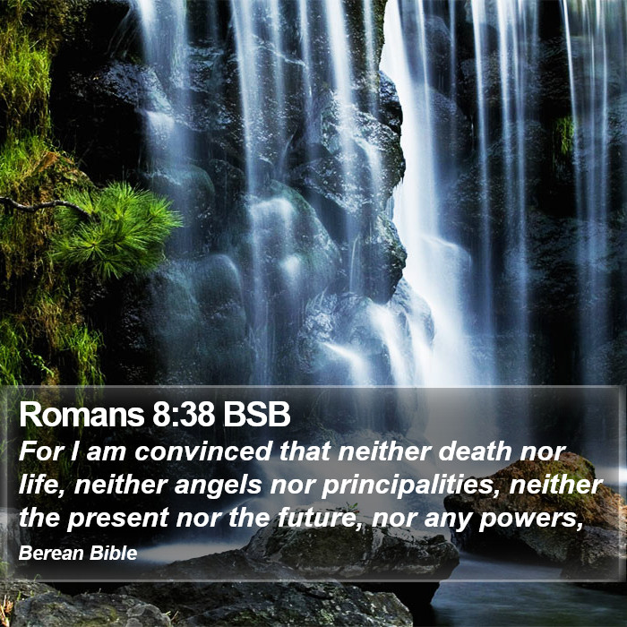 Romans 8:38 BSB Bible Study