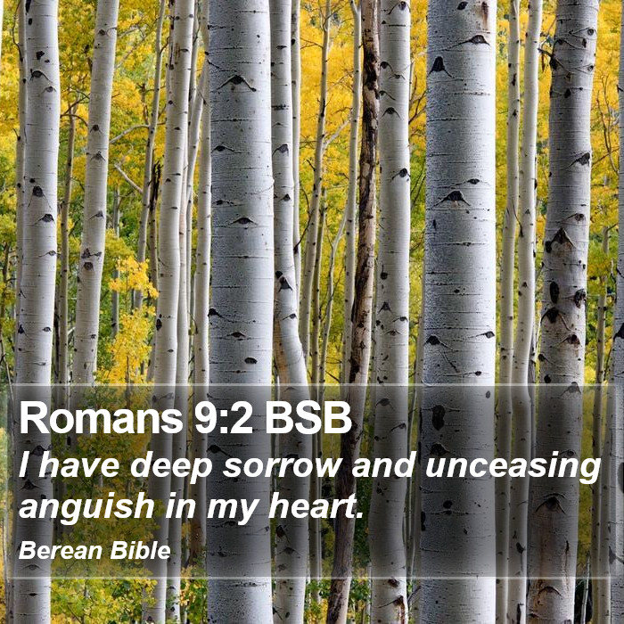 Romans 9:2 BSB Bible Study