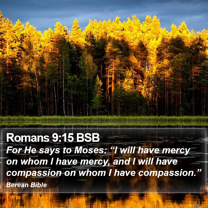 Romans 9:15 BSB Bible Study