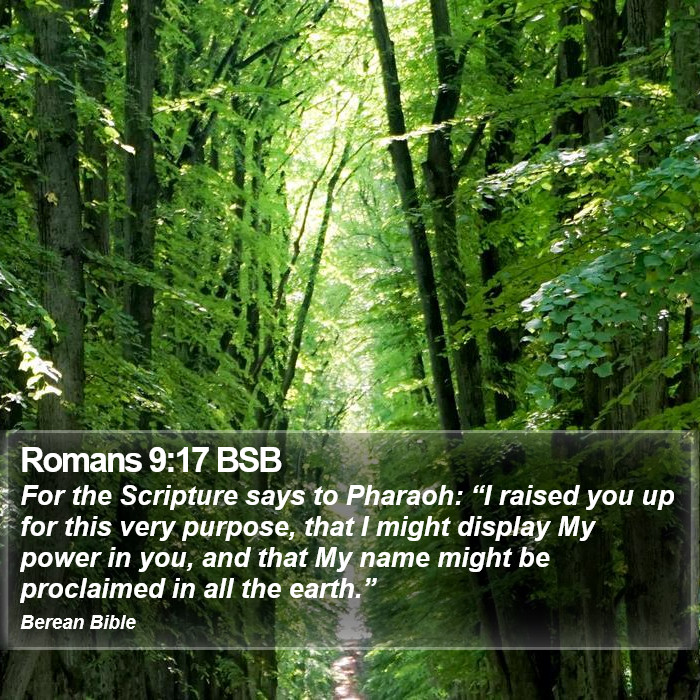 Romans 9:17 BSB Bible Study