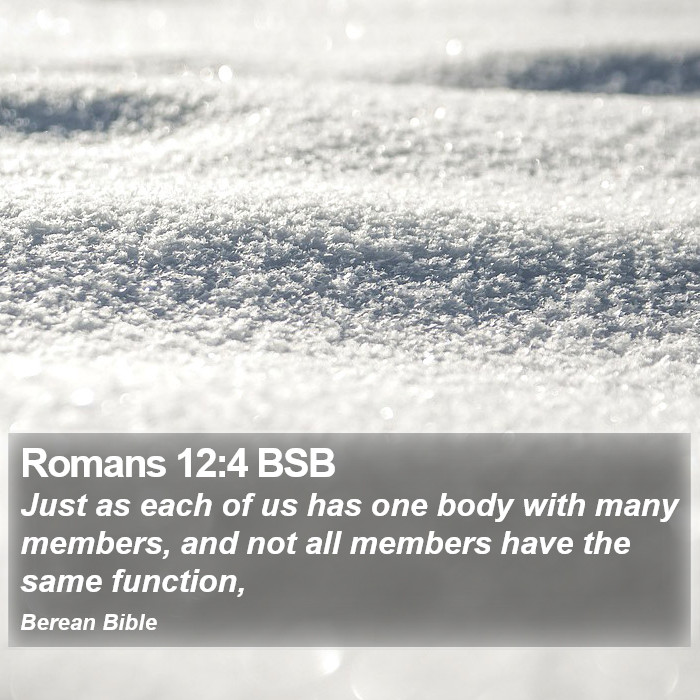 Romans 12:4 BSB Bible Study