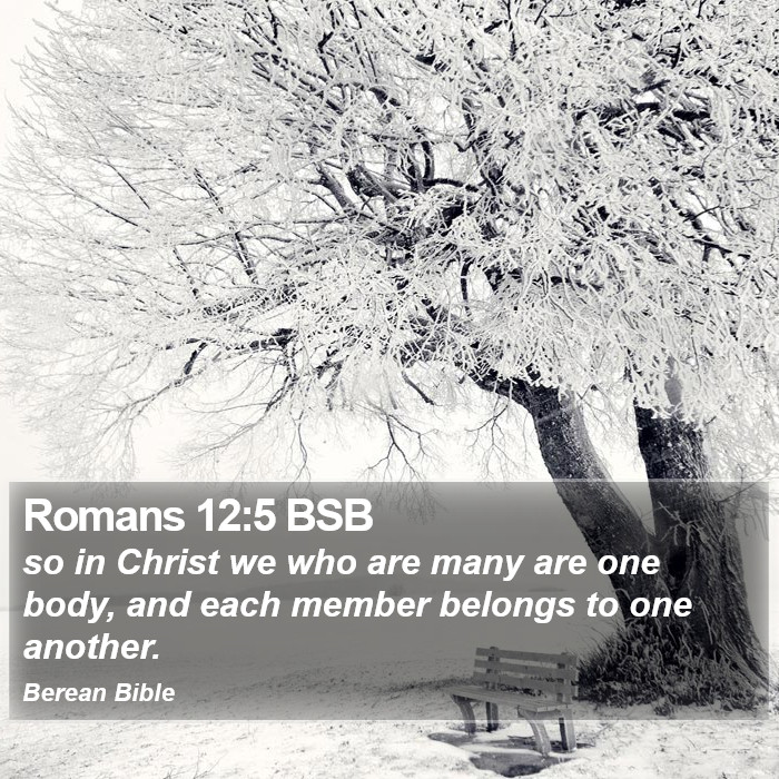 Romans 12:5 BSB Bible Study