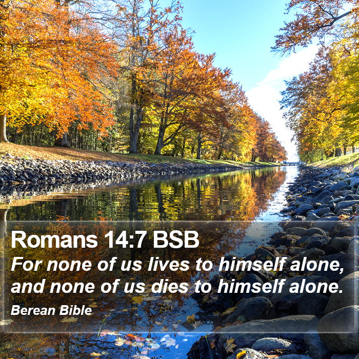 Romans 14:7 BSB Bible Study