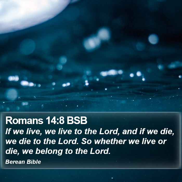 Romans 14:8 BSB Bible Study