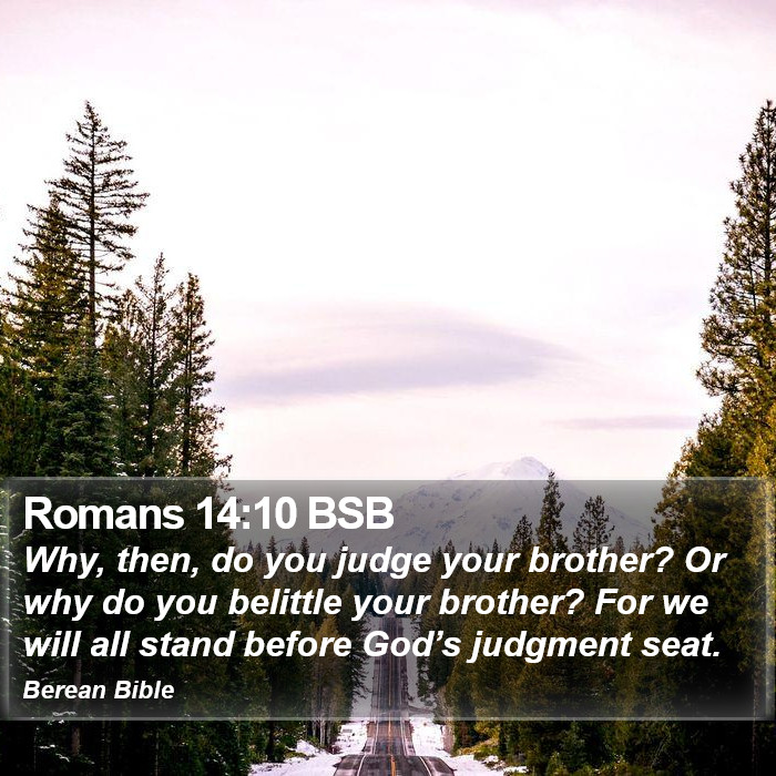 Romans 14:10 BSB Bible Study