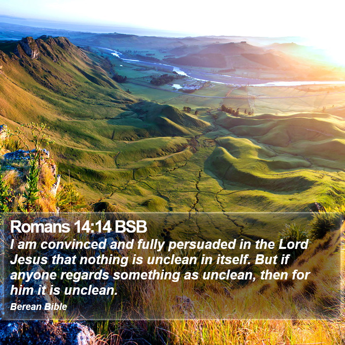 Romans 14:14 BSB Bible Study