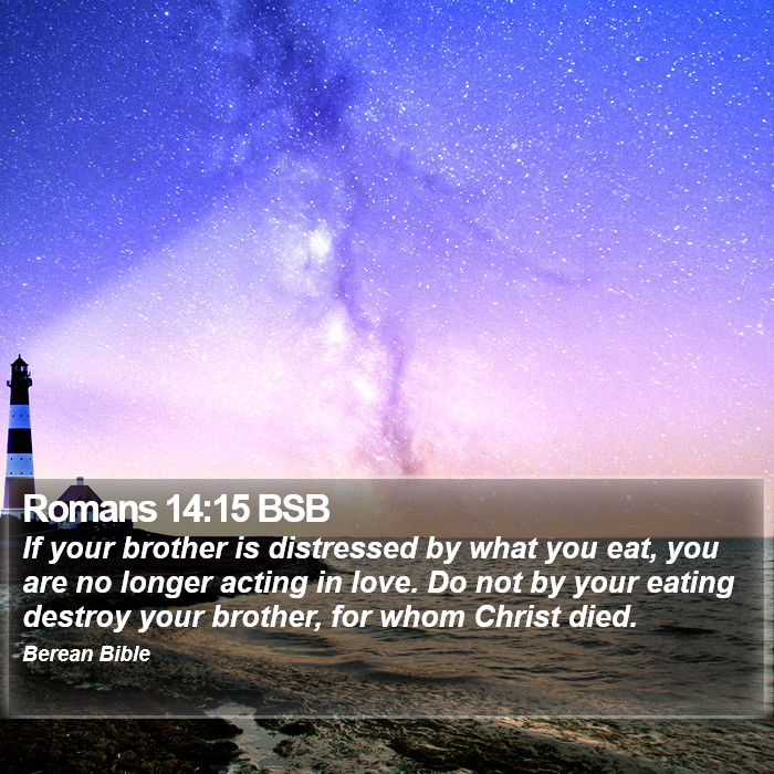 Romans 14:15 BSB Bible Study