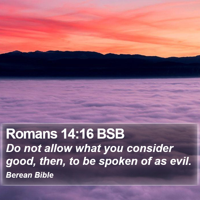 Romans 14:16 BSB Bible Study