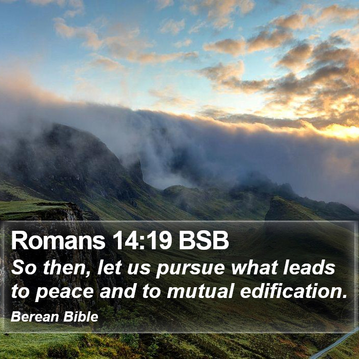 Romans 14:19 BSB Bible Study