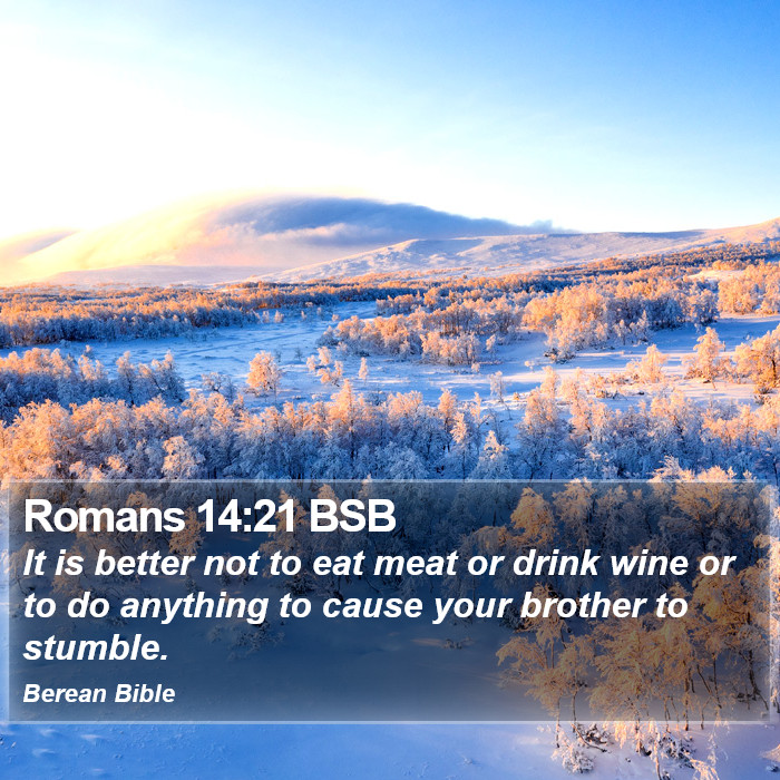 Romans 14:21 BSB Bible Study