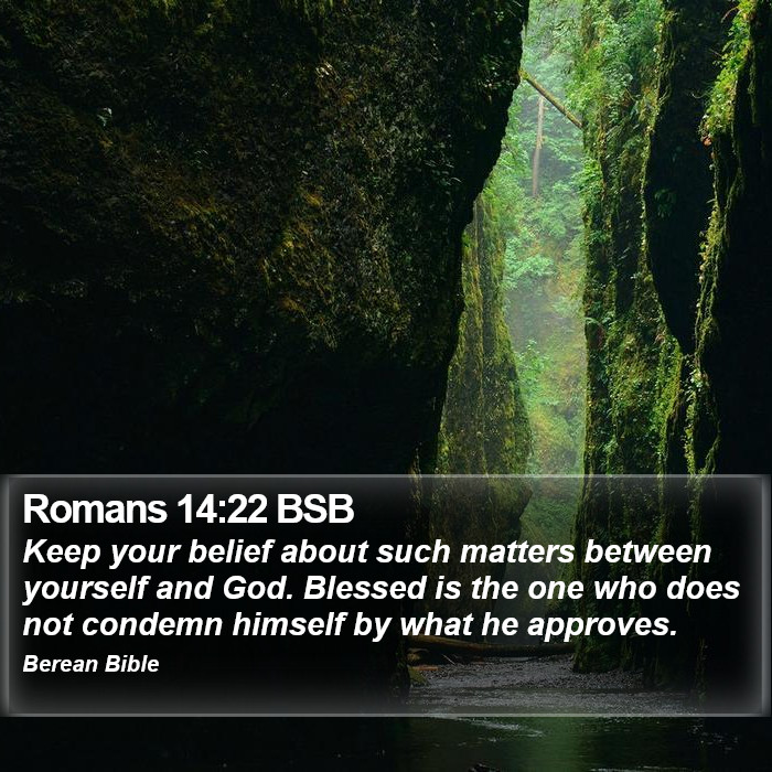 Romans 14:22 BSB Bible Study