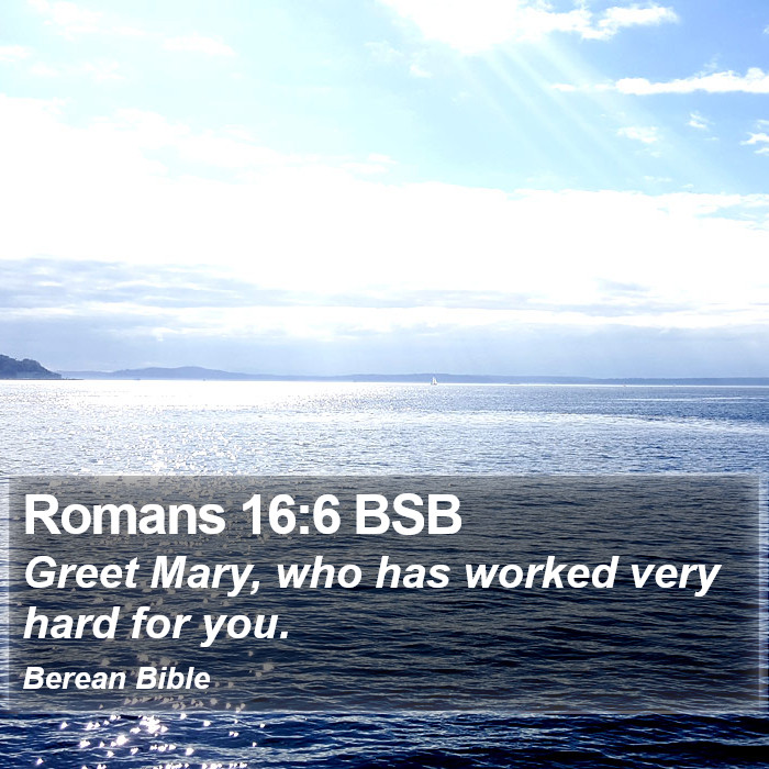 Romans 16:6 BSB Bible Study