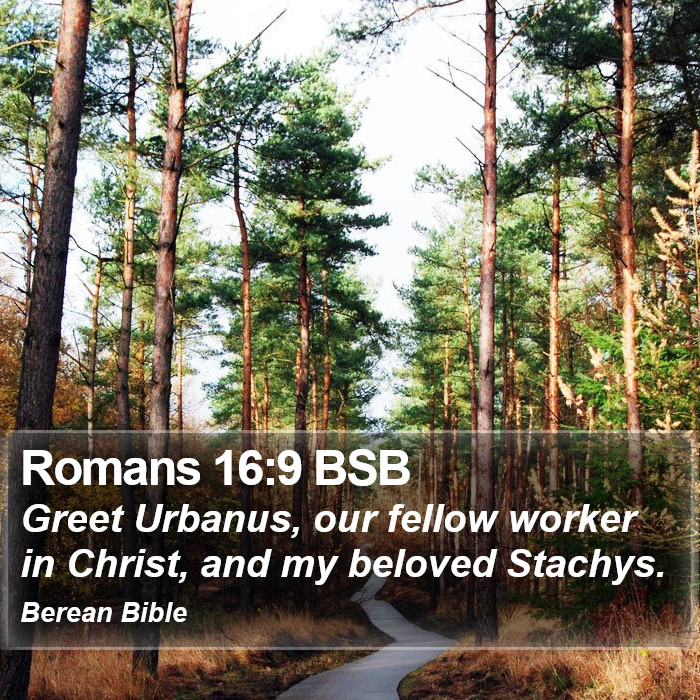 Romans 16:9 BSB Bible Study