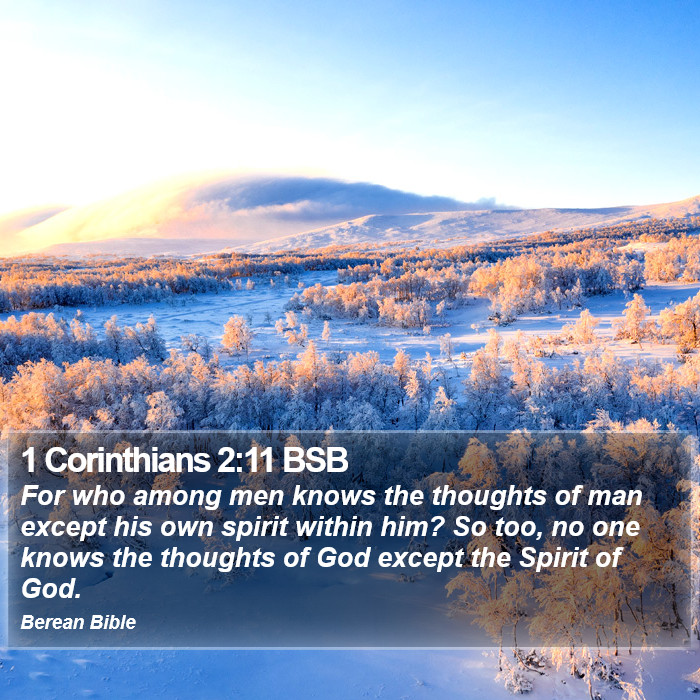 1 Corinthians 2:11 BSB Bible Study