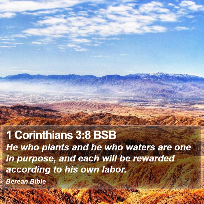 1 Corinthians 3:8 BSB Bible Study