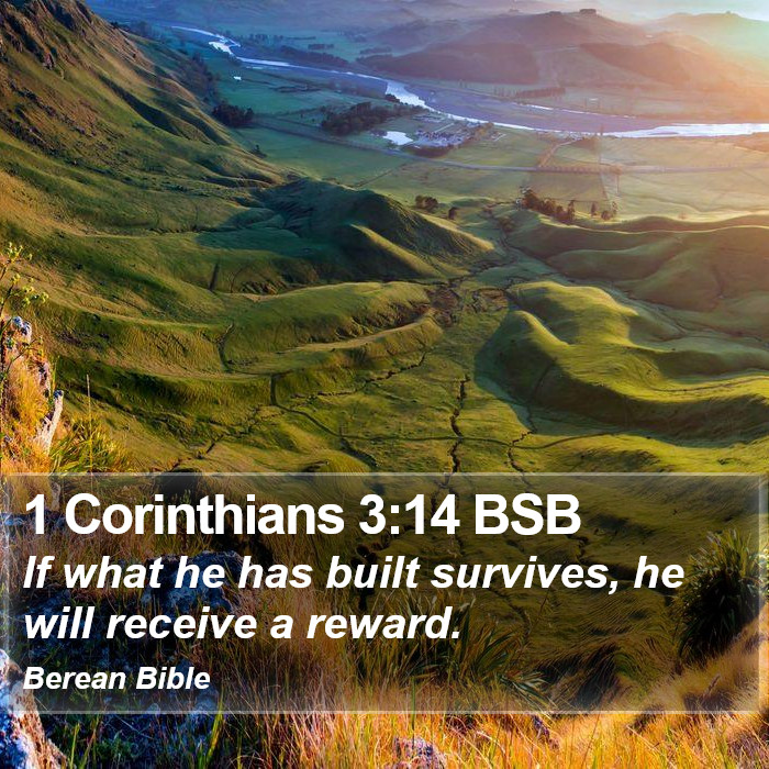 1 Corinthians 3:14 BSB Bible Study