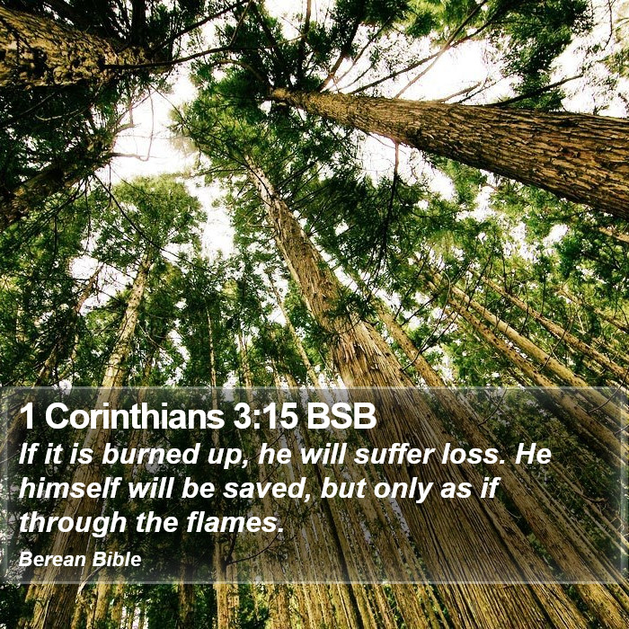 1 Corinthians 3:15 BSB Bible Study