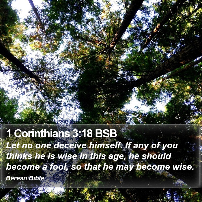 1 Corinthians 3:18 BSB Bible Study