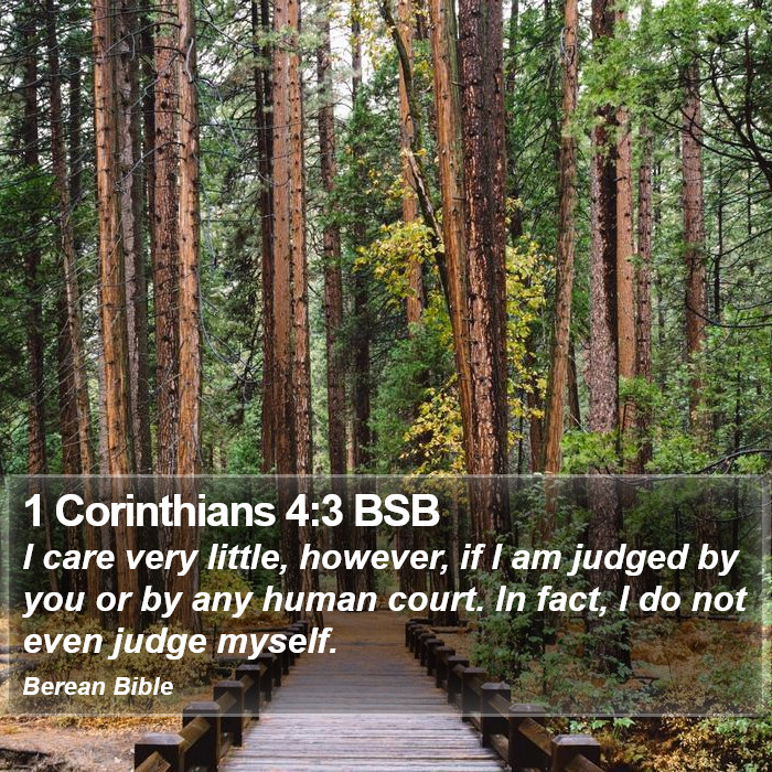 1 Corinthians 4:3 BSB Bible Study