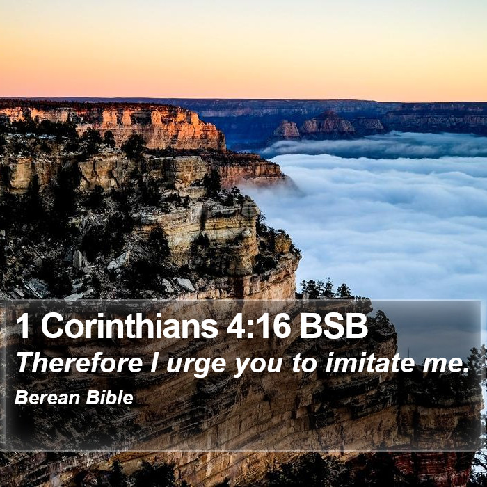 1 Corinthians 4:16 BSB Bible Study