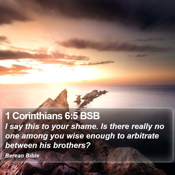 1 Corinthians 6:5 BSB Bible Study