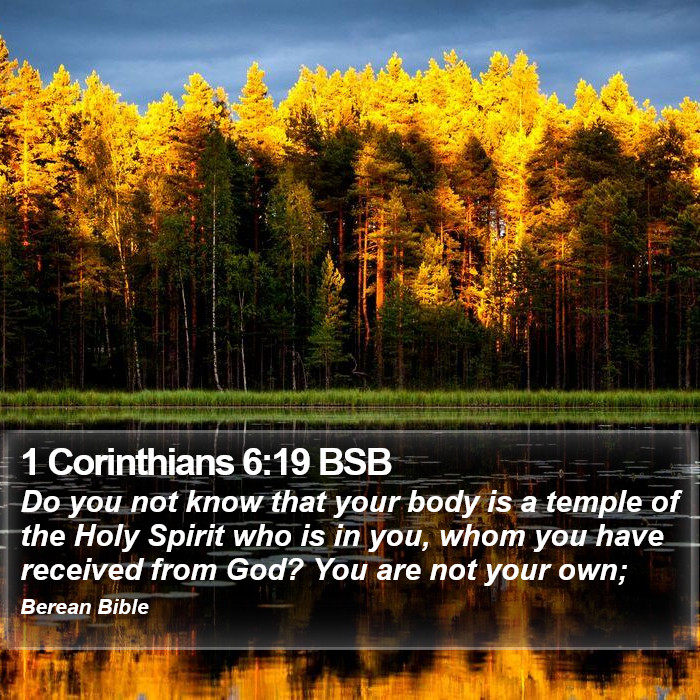 1 Corinthians 6:19 BSB Bible Study