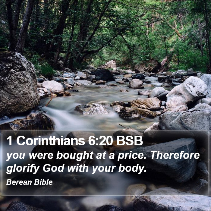 1 Corinthians 6:20 BSB Bible Study