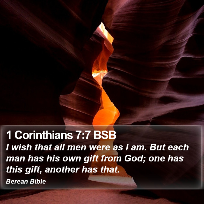 1 Corinthians 7:7 BSB Bible Study