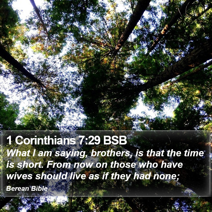 1 Corinthians 7:29 BSB Bible Study