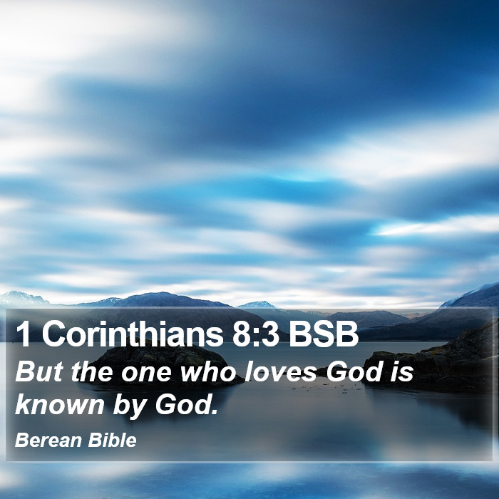 1 Corinthians 8:3 BSB Bible Study