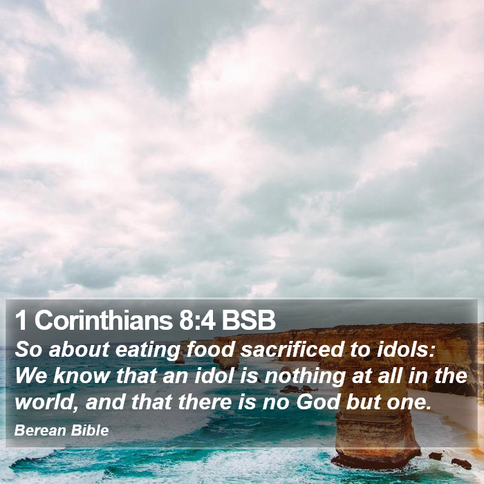 1 Corinthians 8:4 BSB Bible Study