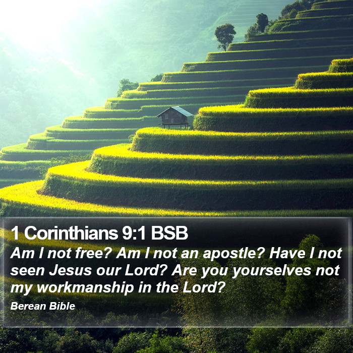 1 Corinthians 9:1 BSB Bible Study