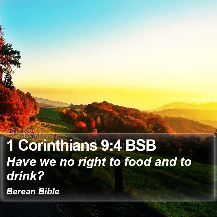 1 Corinthians 9:4 BSB Bible Study