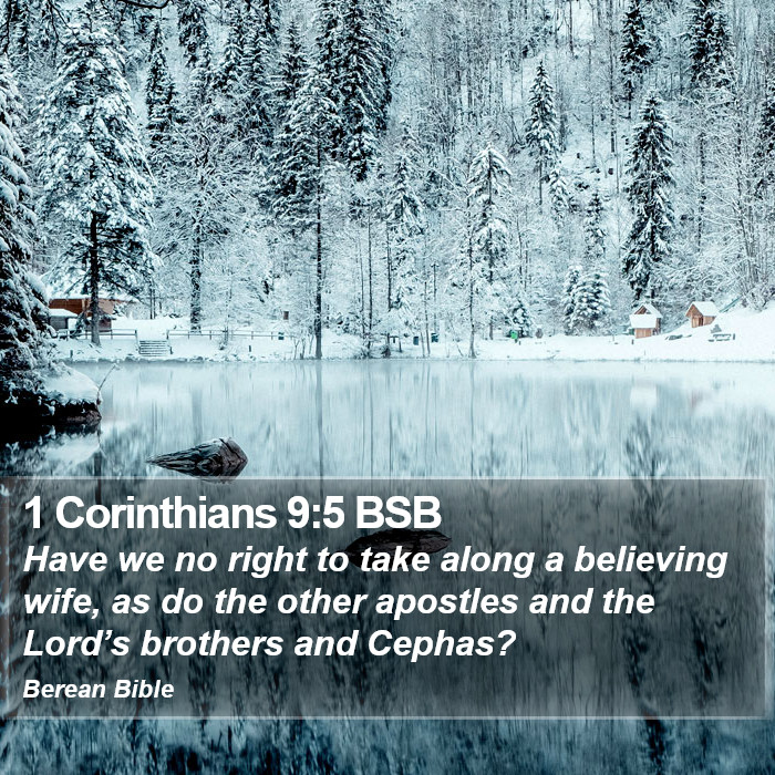 1 Corinthians 9:5 BSB Bible Study