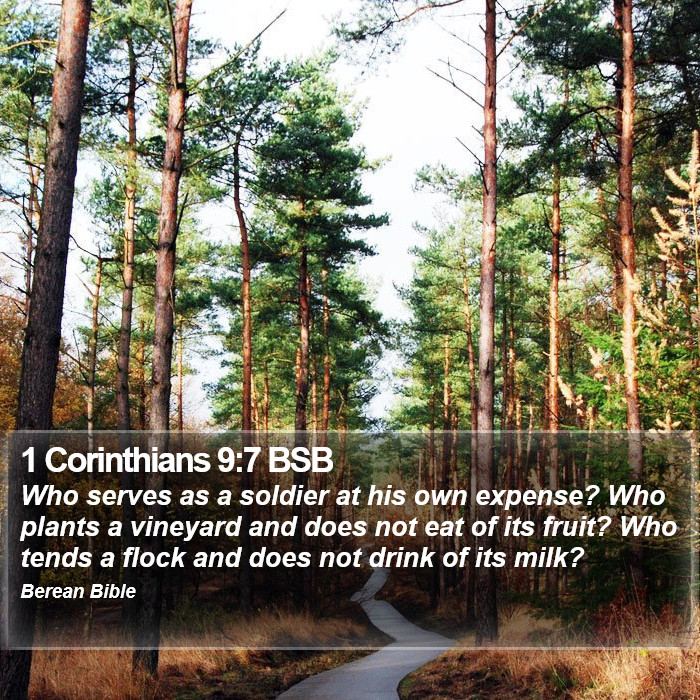 1 Corinthians 9:7 BSB Bible Study