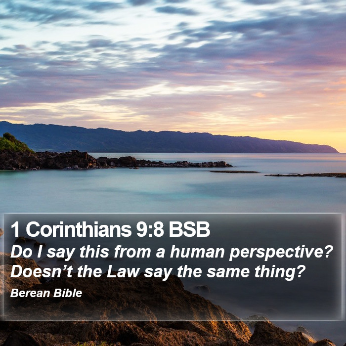 1 Corinthians 9:8 BSB Bible Study